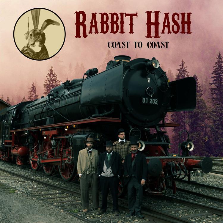 Rabbit Hash's avatar image