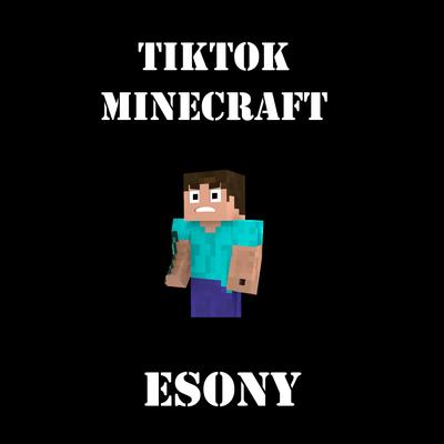 TikTok Minecraft's cover