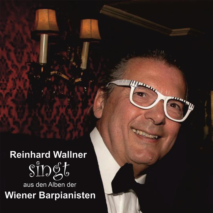 Reinhard Wallner's avatar image