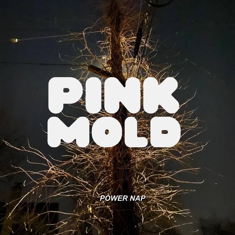 PINK MOLD's avatar image