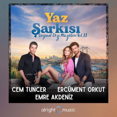 Telaş's cover