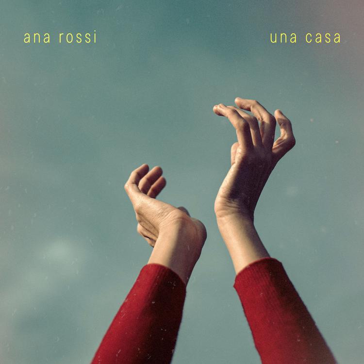 Ana Rossi's avatar image