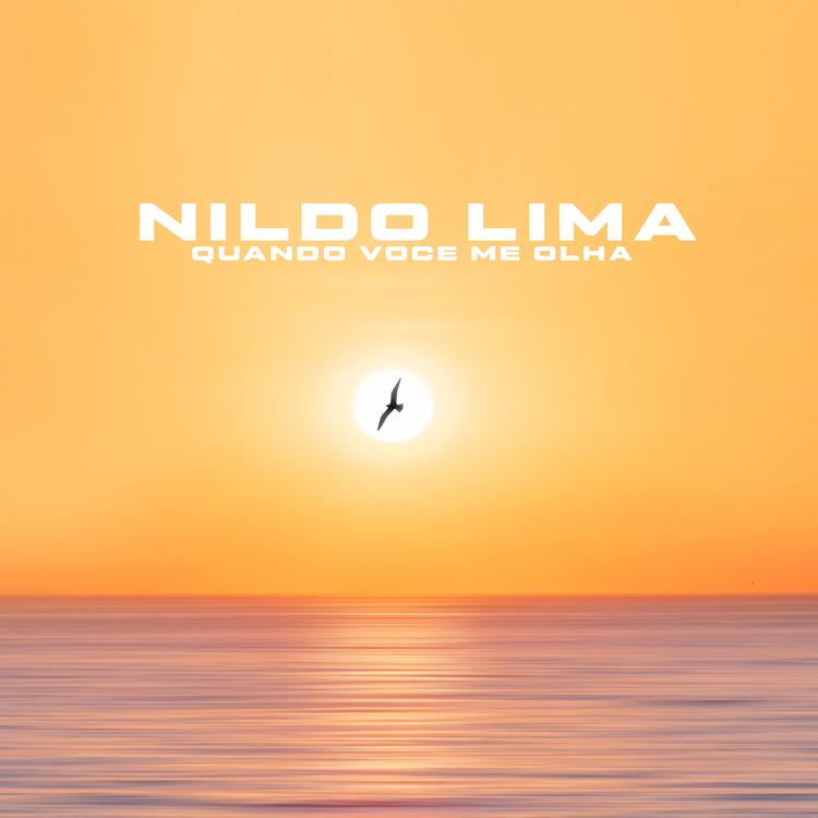 Nildo Lima's avatar image