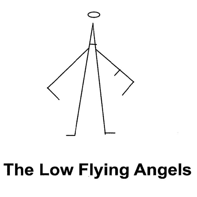 The Low Flying Angels's avatar image