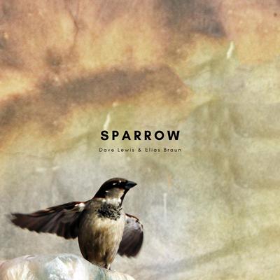 Sparrow By Dave Lewis, Elias Braun's cover