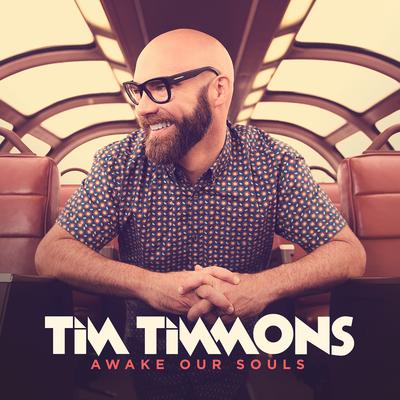 All I Really Want By Tim Timmons's cover