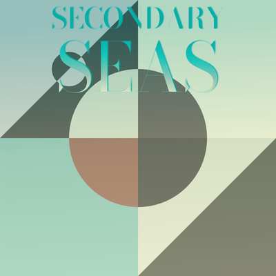 Secondary Seas's cover
