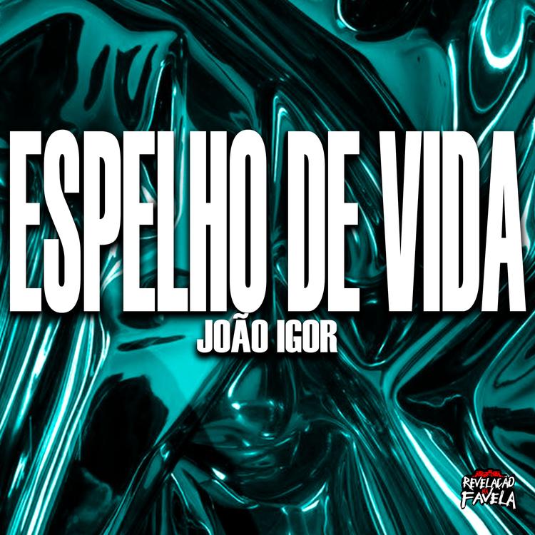 João Igor's avatar image