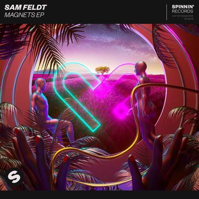 Lose My Colours (feat. Sam Martin) By Sam Feldt, Sam Martin's cover