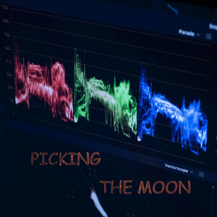 Picking the Moon's avatar image