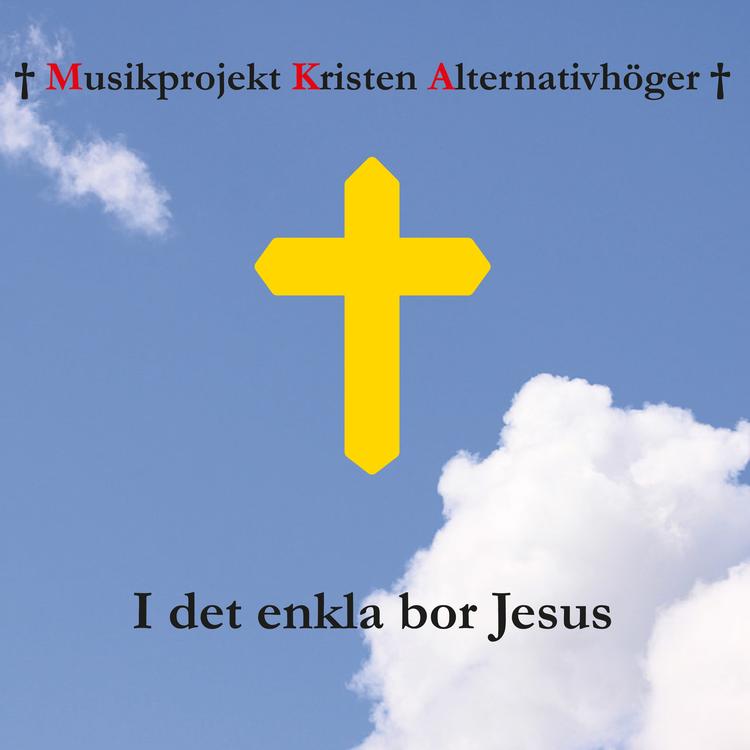 Musikprojekt Kristen Alternativhöger's avatar image