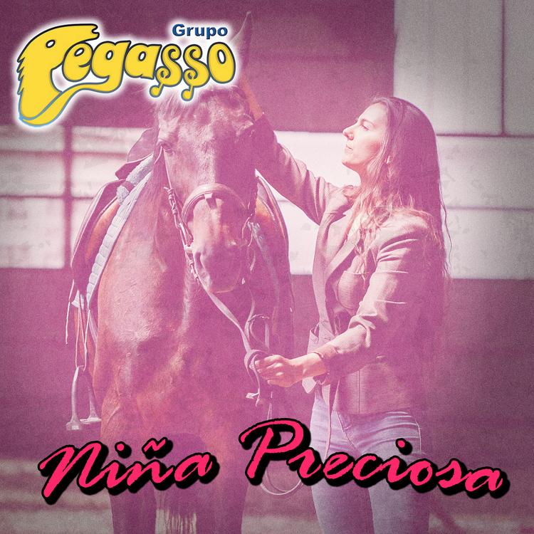 Grupo Pegasso's avatar image