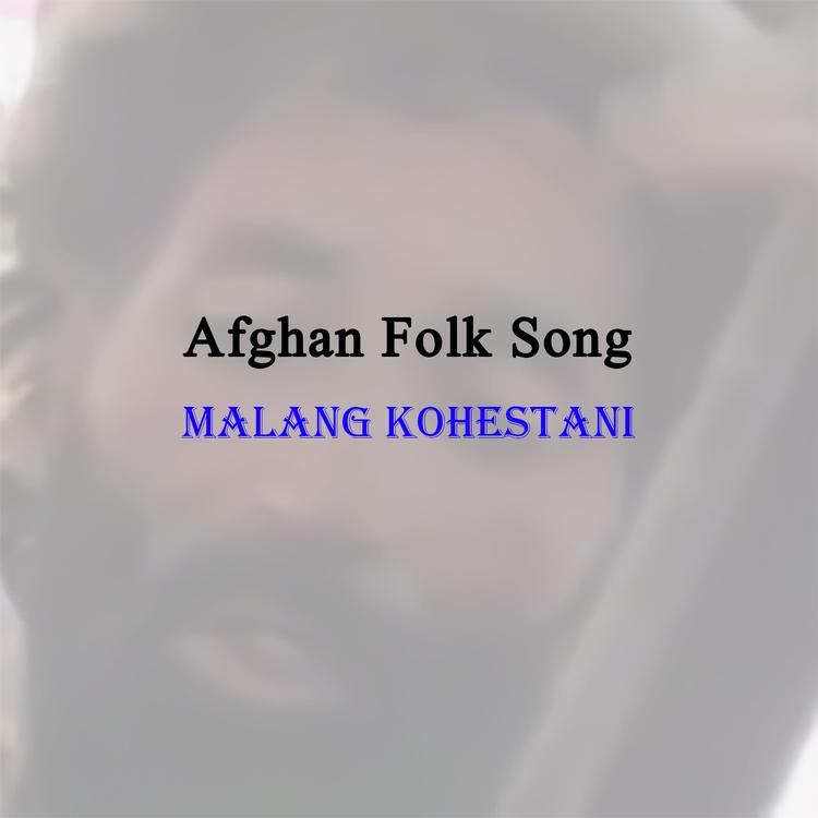 Malang Kohestani's avatar image
