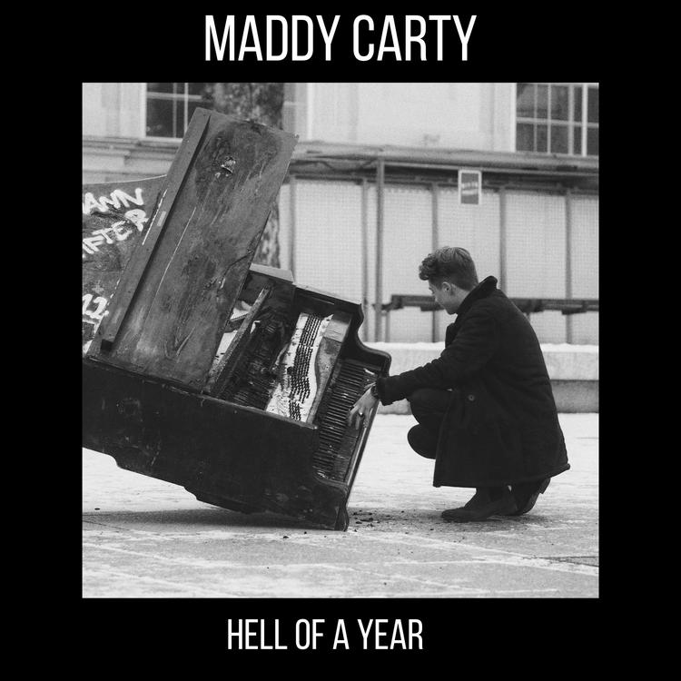 Maddy Carty's avatar image