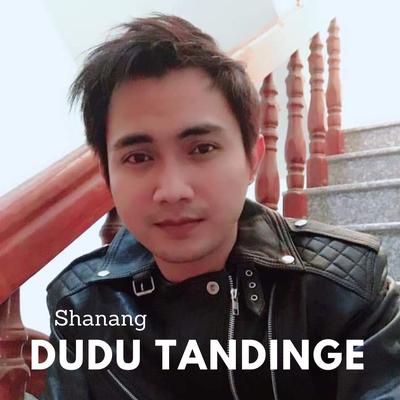 Dudu Tandinge's cover