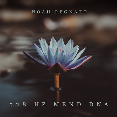 528 Hz Mend DNA's cover