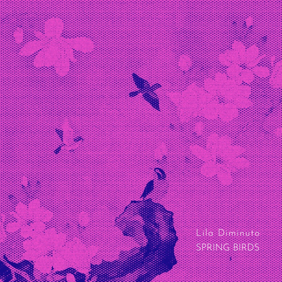 Spring Birds By Lila Diminuto's cover