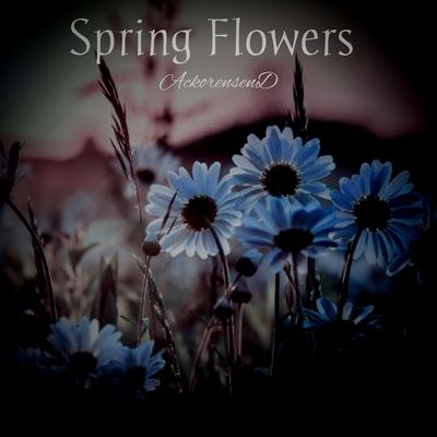 Spring Flowers By AckorensenD's cover