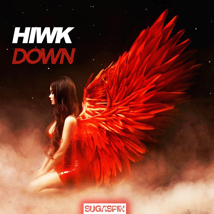 HIWK's avatar image