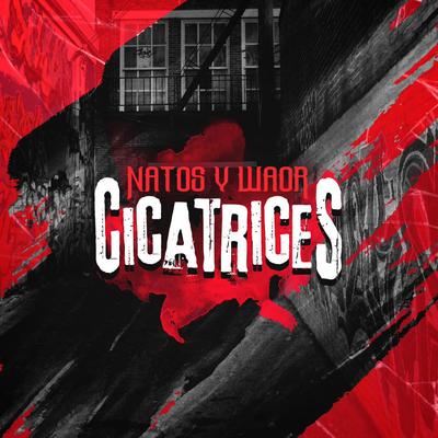 Cicatrices By Natos y Waor's cover