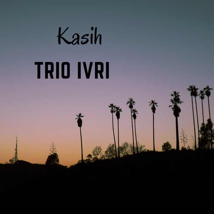 Trio IVRI's avatar image