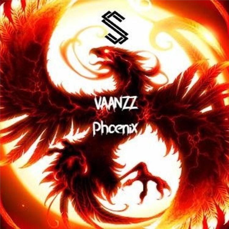 VAANZZ's avatar image