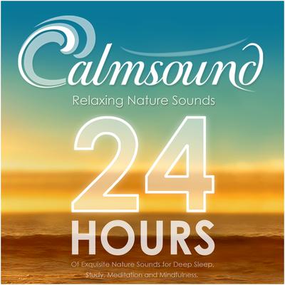 Whale Sounds: 2 Hours of Whale Song By Calmsound's cover