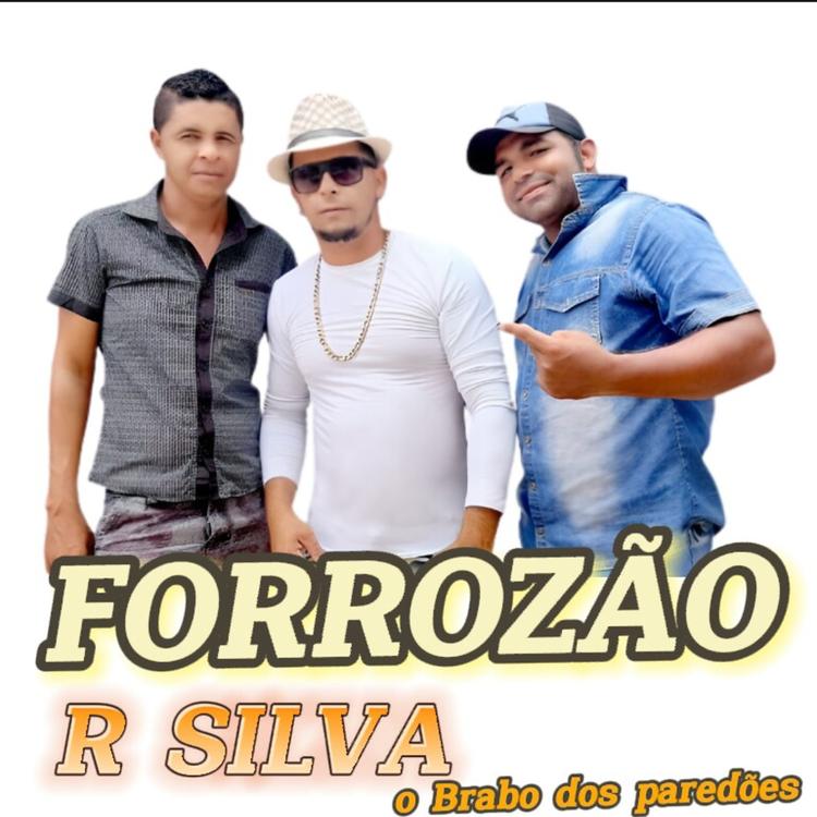 FORROZÃO R SILVA CANTOR's avatar image