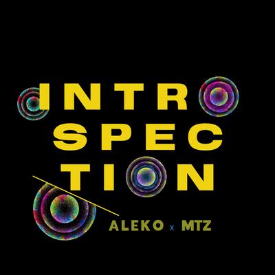 INTROSPECTION By Aleko, MTZ's cover