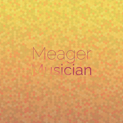 Meager Musician's cover