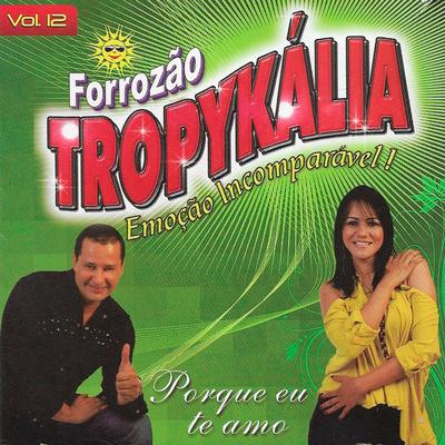 Te Amar É Tudo By Forrozão Tropykalia's cover