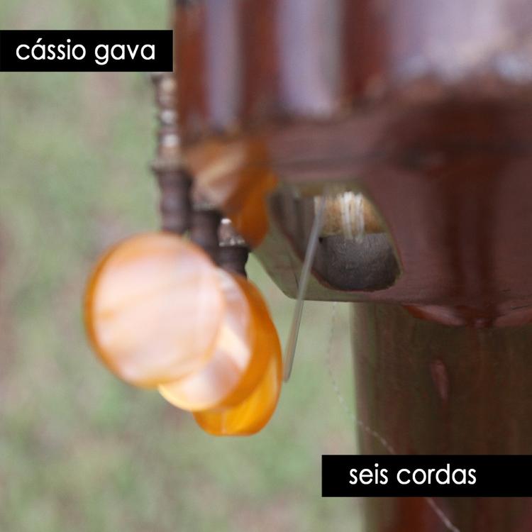 Cássio Gava's avatar image