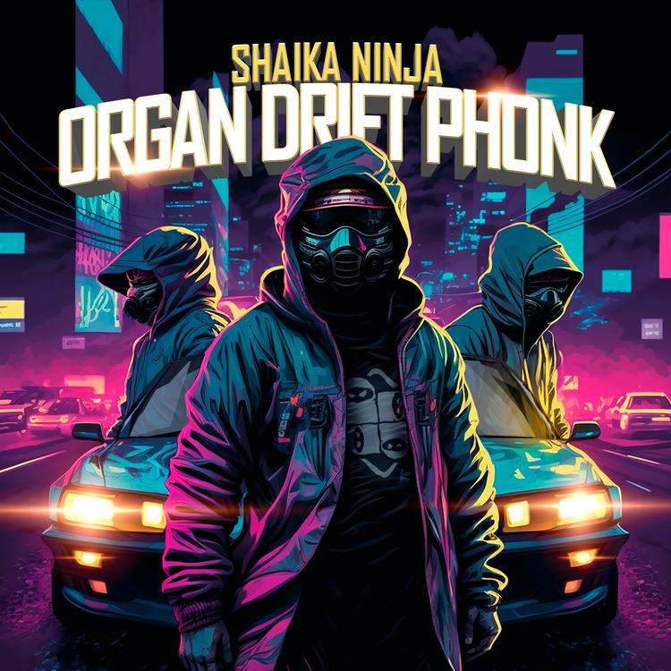 Shaika Ninja's avatar image