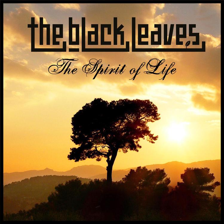 The black leaves's avatar image