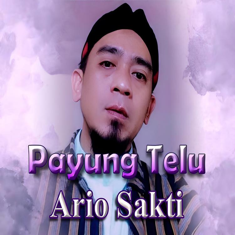 Ario Sakti's avatar image