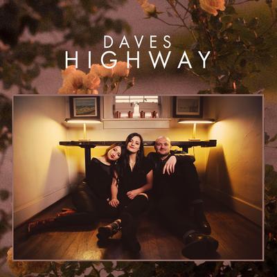 Why Do We Need Em By Daves Highway's cover
