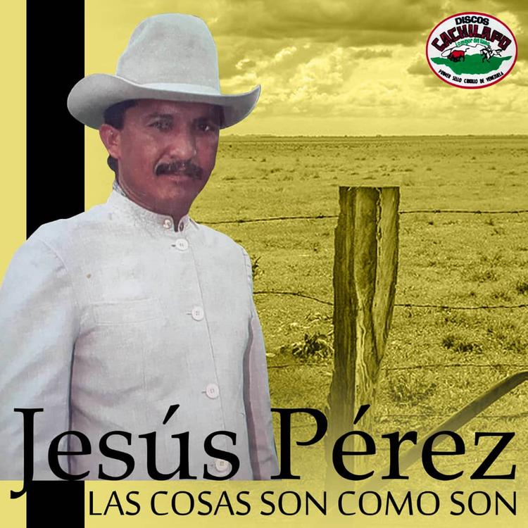 Jesus Perez's avatar image