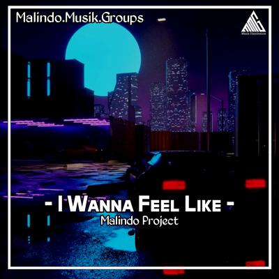 I Wanna Feel Like By Malindo Project's cover