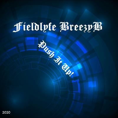 Fieldlyfe Breezyb's cover