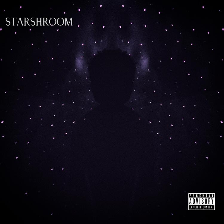 StarShroom's avatar image