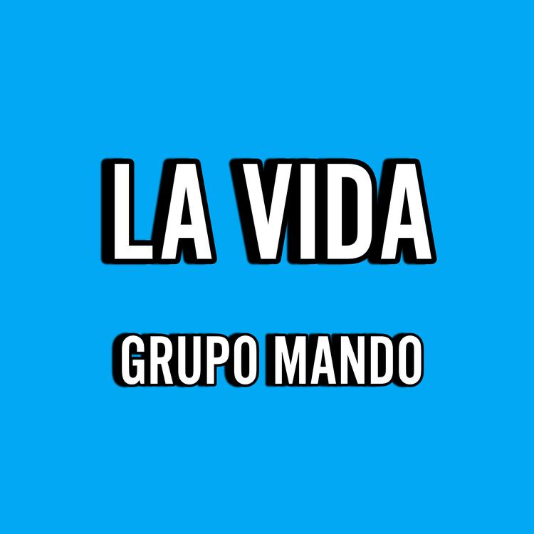 Grupo Mandô's avatar image