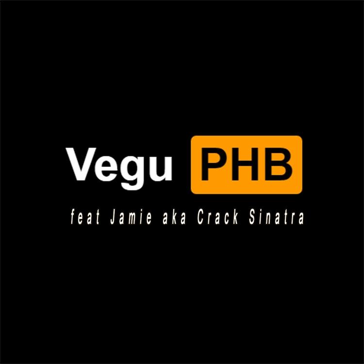 Vegu's avatar image