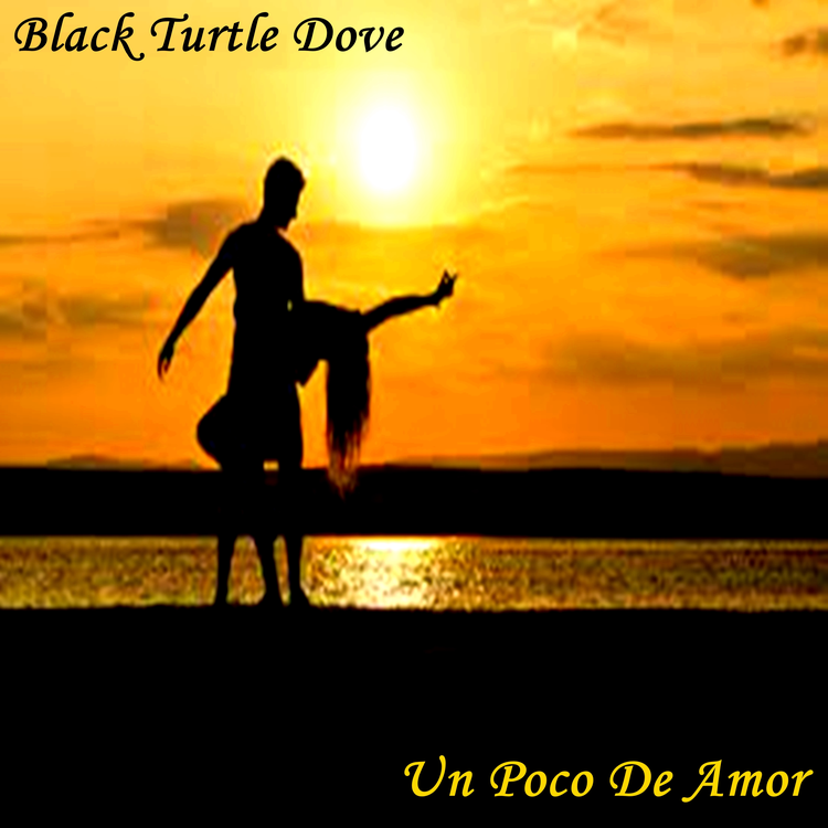 Black Turtle Dove's avatar image