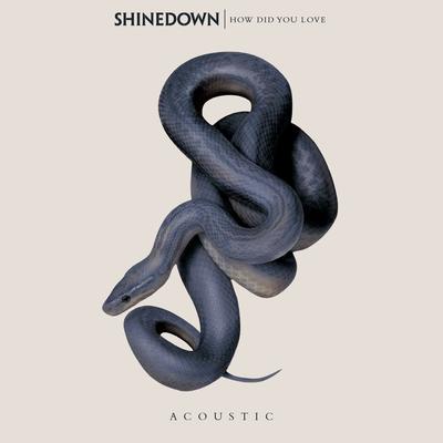 How Did You Love (Acoustic) By Shinedown's cover