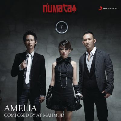 Amelia's cover