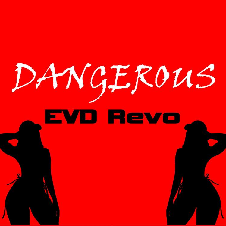 EVD Revo's avatar image