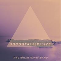 The Brian Davis Band's avatar cover