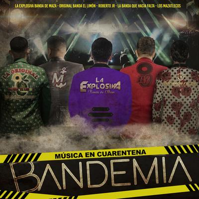 Bandemia (con Banda Los Mazatlecos, La Banda Que Hacía Falta)'s cover