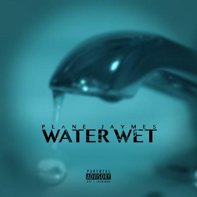 Water Wet By Plane Jaymes's cover