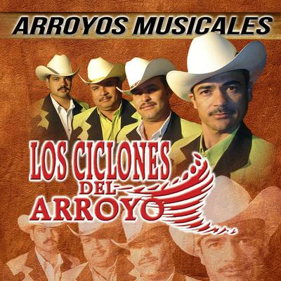 Arroyos Musicales's cover